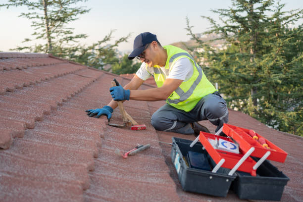 Best Roof Gutter Cleaning  in Leesburg, GA